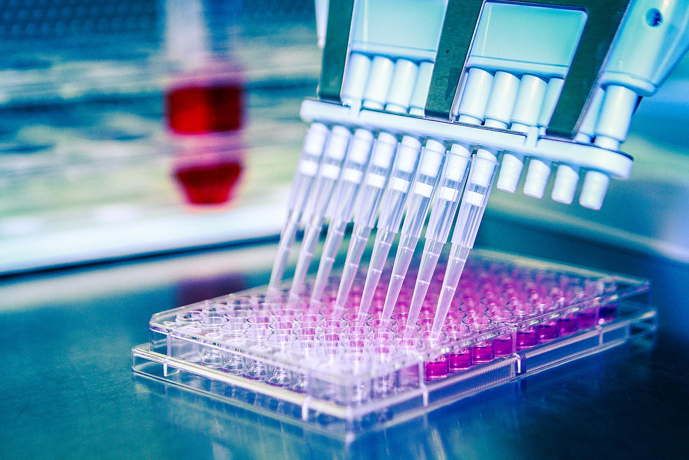 Functional Cell Stress Assays