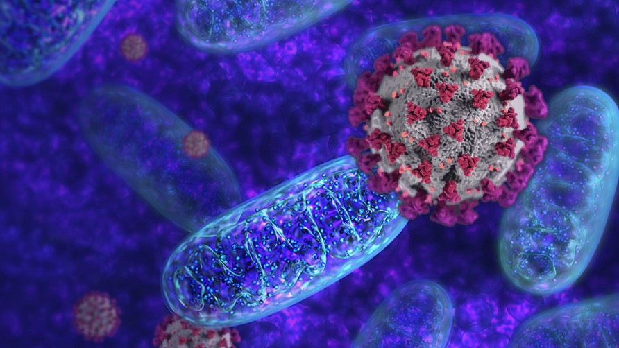 Functional Cell Stress Assays